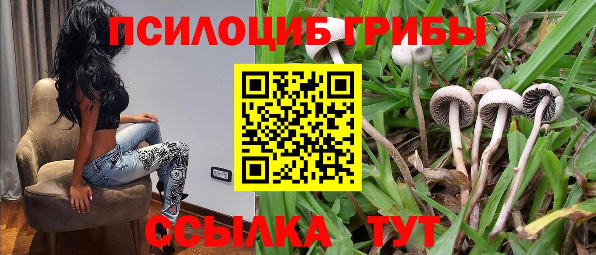 Псилоцибиновые грибы Psilocybine cubensis  Галлюциногенные грибы Psilocybine cubensis  Вход с VPN  Кузнецк 
